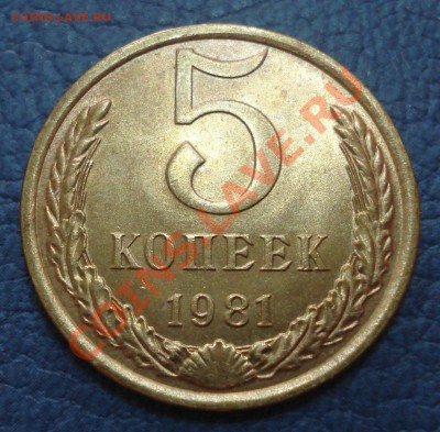 5коп 1981г       отлична - 5 коп 1981_1