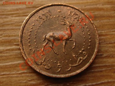 Катар и Дубаи 1 дирхем 1966 до 24.05.13 в 21.00 М - IMG_2497