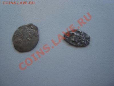 две чешуи на оценку - DSC03347.JPG