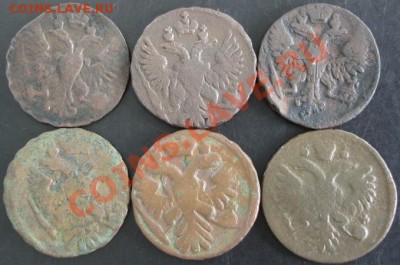 Деньга 1736-1750 года(6 штук) до 22-00 27.05.13 года - DSC00580.JPG