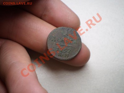 денга 1797 км до 26 мая 20.00 мск - P4030580.JPG