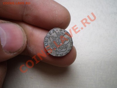 полушка 1769 Сибирь до 26.05 20.00 МСК - P4030574.JPG