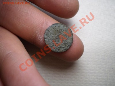 полушка Сибирь 1770 до 26 мая 20.00 МСК - P4030579.JPG