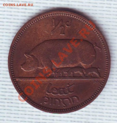 Ирландия.Пол пенни.1949. Свинья.до 28 Мая - 19490006.JPG