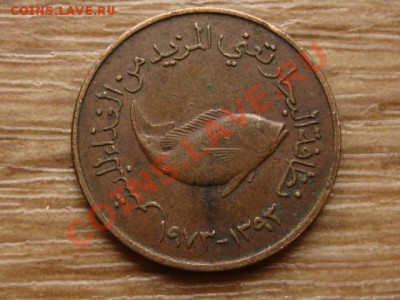 ОАЭ 5 филсов 1973 до 28.05.13 в 21.00 М - IMG_2669.JPG