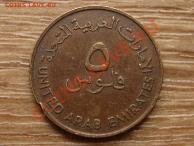 ОАЭ 5 филсов 1973 до 28.05.13 в 21.00 М - IMG_2668.JPG