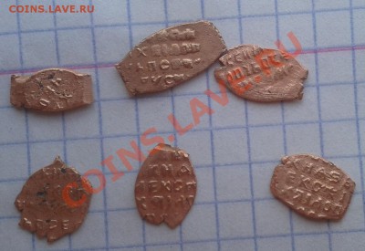 Чешуйки, опознание и оценка - 4