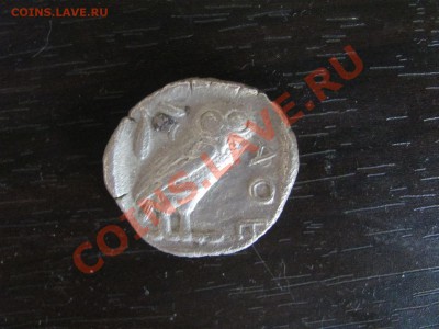 тетрадрахм 2 монеты - IMG_8449.JPG