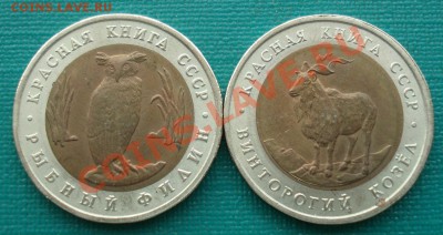 КК 1991 СССР Козел и Филин до 22:00 28.05.13+15 - DSC04394.JPG