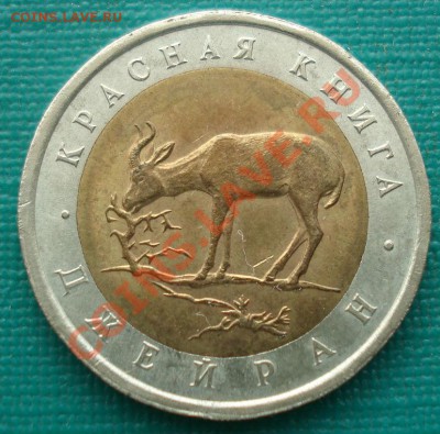 КК Россия Джейран 50 рублей  1994 до 22:00 28.05.13+15 - DSC04361.JPG