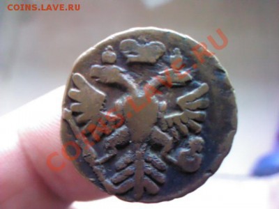 деньга 1739  до 21.00  31 мая - 1369565347644