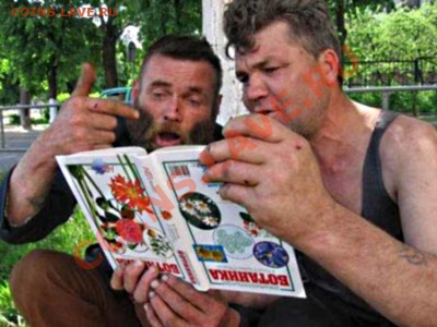 Ассоциация слов - батаны