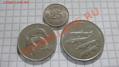 Исландия 4 монеты до 28.05 в 22:30 - DSC03265.JPG