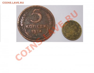 С копа - 5.JPG