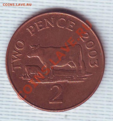 Гернси.2 Пенса.2003.Корова.до 31 Мая - 20030006.JPG