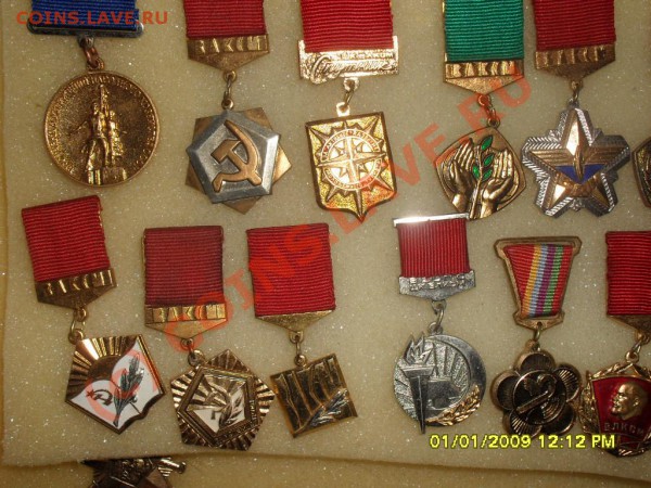 моя красота - SDC10212.JPG