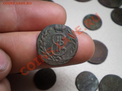 денга Сибирь 1779 до 31.05 21.00 МСК - P4100630.JPG
