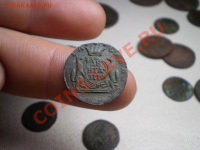 денга Сибирь 1779 до 31.05 21.00 МСК - P4100633.JPG