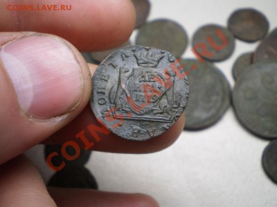 денга Сибирь 1779 до 31.05 21.00 МСК - P4100636.JPG