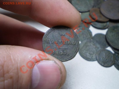 кольцевая полушка 1805 до 31.05 21.00 МСК - P4100616.JPG