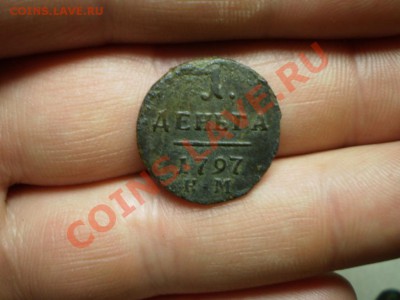 денга 1797 км до 31 мая 21.00 мск - P4100606.JPG