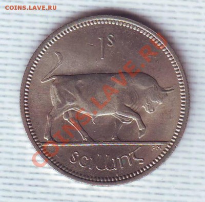 Ирландия.Шиллинг.1964.Бык.до 2 Июня - 19640015.JPG