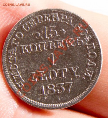 1 злотый  1837 до 22-00 2 июня - _MG_2657