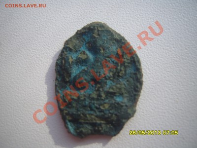 похожа на чешую медь - SS102921.JPG
