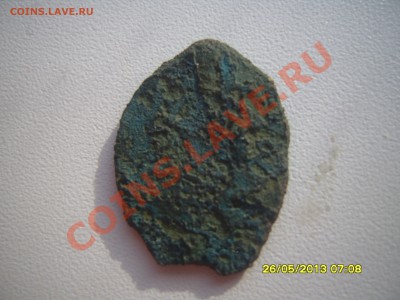 похожа на чешую медь - SS102927.JPG