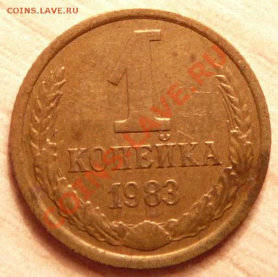 1 коп 1983г. Редкая Ф113. до 04.06.13. в 22-00 по Москве. - P1100608.JPG