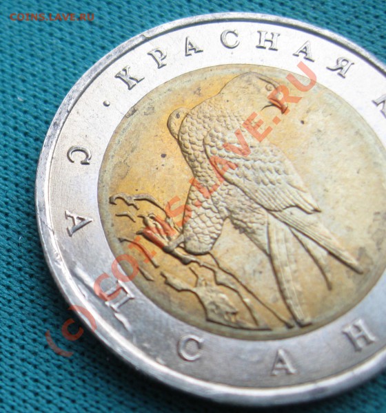 Красная книга - Сапсан. Раскол штампа? Интерес, цена? - Сапсан