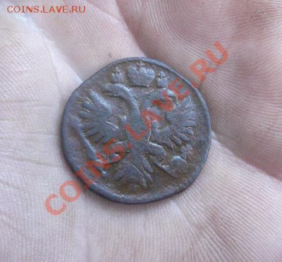 Деньга 1734г. Розетка из 4-х лепестков. Редкая ??? - сссс1.JPG