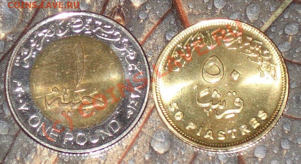 Египет - две монеты - 1 и 0.5 фунта 2007 UNC до 16.12.09 - 1 и 0.5 фунта египет 1
