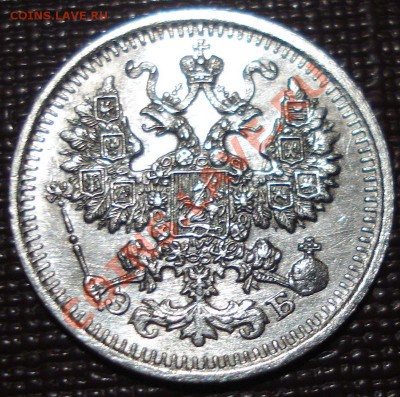 5к 1911г АНЦ   до 05.06.2013г - DSC00569.JPG