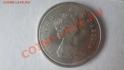 Ag! Доллар Британская Колумбия 1971г До 4.06.13г 22.00мск - DSC04756.JPG