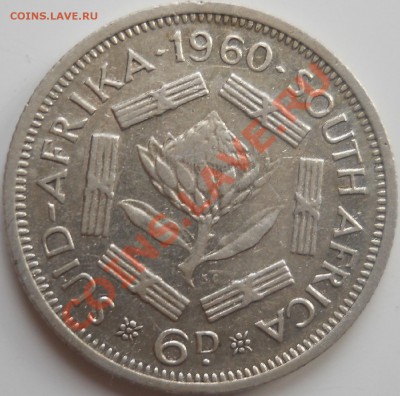 ЮАР: Ag 6 пенсов 1960 Елизавета 2 до 4.06.13, 22-00 мск - DSCN0185.JPG