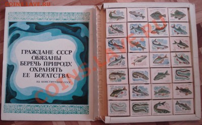 Коллекция спичных коробков СССР   ....РЫБЫ,,,, - Спички_2