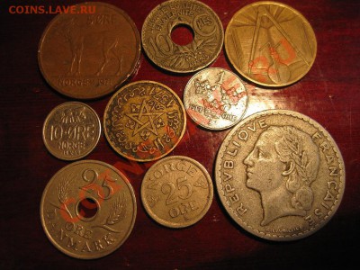 оцените! - IMG_5451.JPG