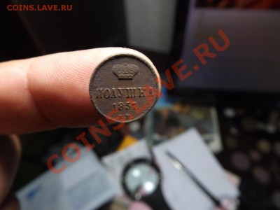 Полушка 1857 г. - Изображение 6748