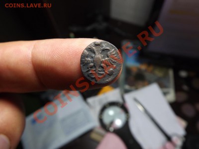 Полушка ВРП  1722 года - Изображение 6756