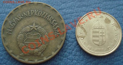 Аргентина 10 сентаво и Венгрия 1 и 2 форинта - Лот6_2