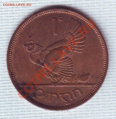 Ирландия.Пенни.1963.Курица. до 10 Июня - 19630012.JPG