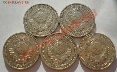 Лот годовиков: 1984,1985,1986,1989,1990г до 22:00 08.06.13+1 - DSC04699.JPG