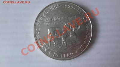 Канада: Ag-500 1$ 1985г Лось! до 7.06.13г 22.00мск - DSC04820.JPG