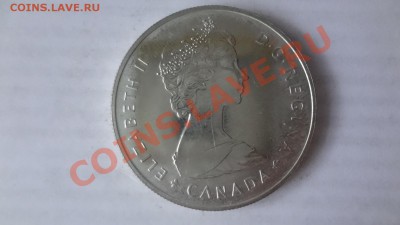 Канада: Ag-500 1$ 1985г Лось! до 7.06.13г 22.00мск - DSC04821.JPG