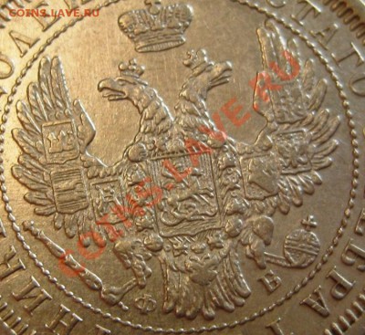 25 коп 1858 до 8 июня 23-00 - IMG_6368.JPG