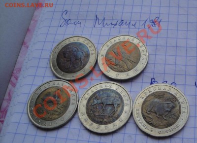 Спор с Михаил 1981: не хочет разворачивать сделку - 06.06.2013         разное 009.JPG