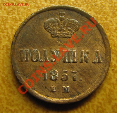 Полушка 1857 ЕМ (неплохая) до 09.06.2013, 22:00 - IMG_6225.JPG