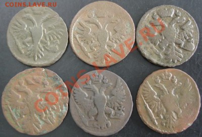 Деньга 1731,34,39,41,49,50 года до 22-00 10.06.13 года - DSC00667.JPG
