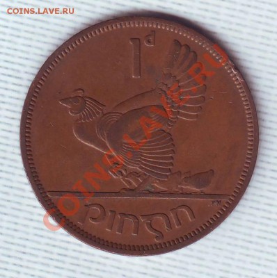 Ирландия.Пенни.1950.курица. до 13 Июня - 19500023.JPG